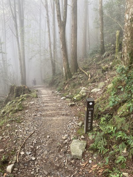 奮起湖大凍山3060167
