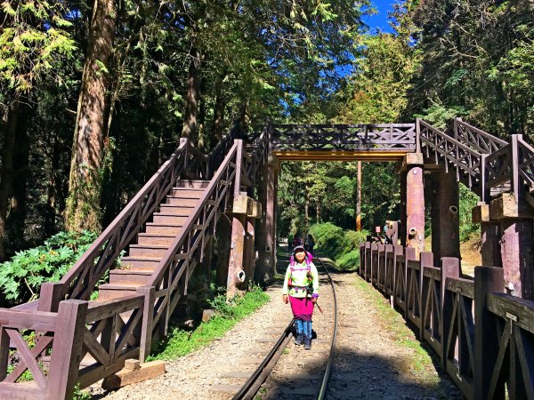 再訪眠月線 2019/11/23-24753022