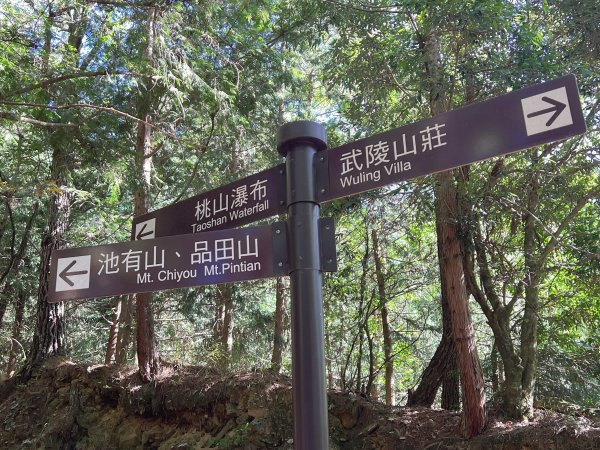 ~ 池 有 山 / 品 田 山 ~2854048