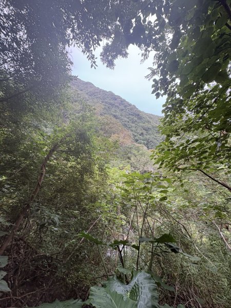 20251129女仍山步道2951780