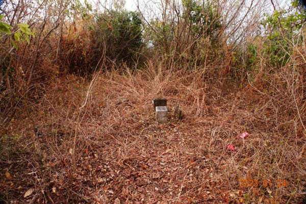 屏東 獅子鄉 獅子頭山2011311