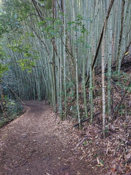 霞喀羅古道白石吊橋2389810