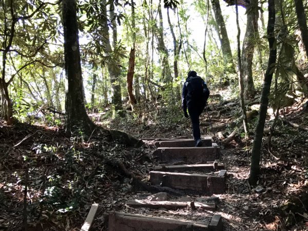秋日末的鳶嘴稍來787653
