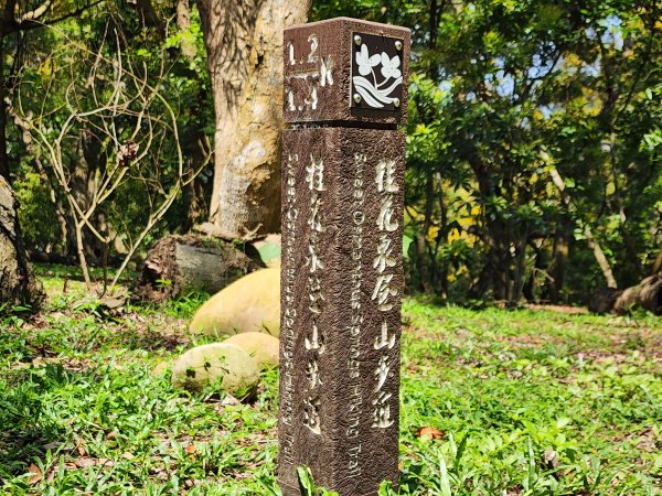 小百岳No.38⛰鐵砧山3045095