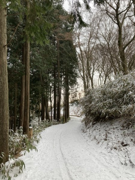 4 大阪金剛山全記錄2711096