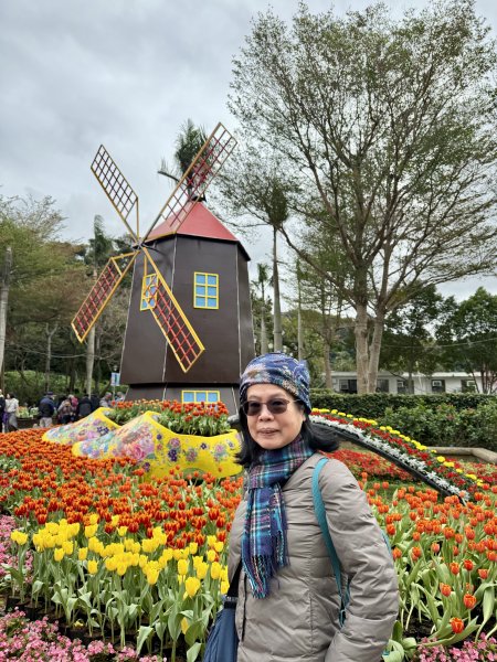 士林官邸~鬱金香2717305