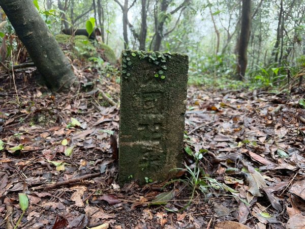 新北 汐止 柯子林橋-柯子林天然泳池-友蚋山南峰-友蚋山-新山-夢湖-柯子林橋2988389