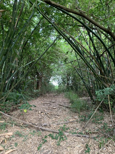 20251024台南大坪山2925602