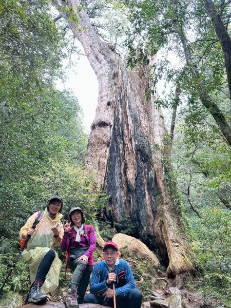 北得拉曼-20204062859891