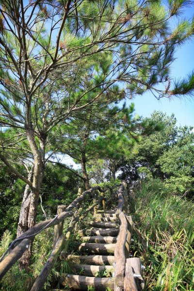 大坑四號登山步道422056