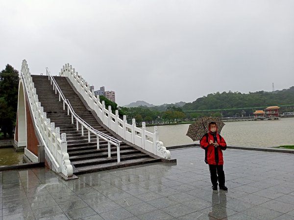 內湖大港墘公園、大湖公園 (防災公園) 【走路趣尋寶】1896642