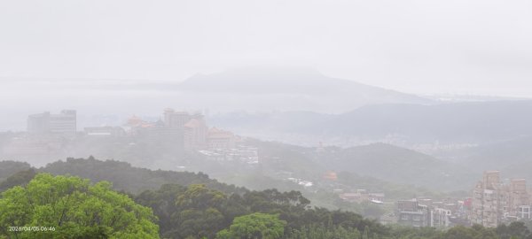 陽明山追雲趣 #天空之城 #石門嵩山梯田 #鳶尾花 #老梅綠石槽 4/5-63030199