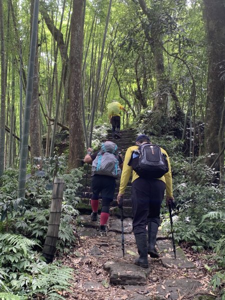 20250614南投南鳳凰山2813257