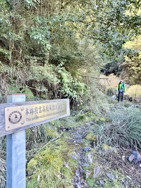 230林道糜爛去    2025.2.28-3.12733793