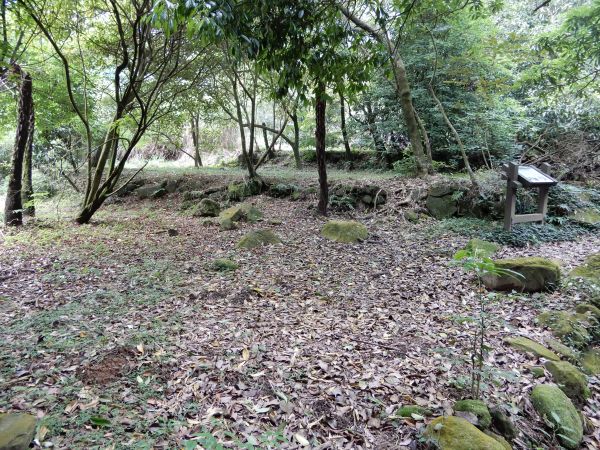 20180519_魚路古道北段+擎天崗334661