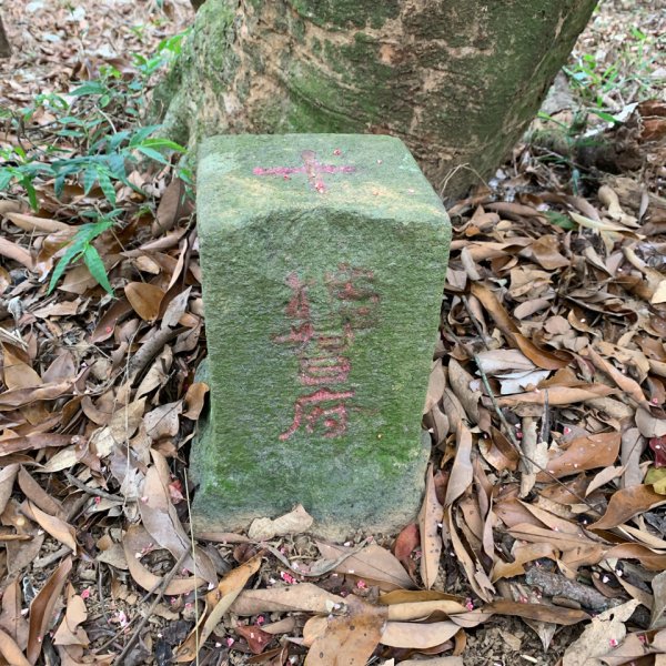 20260523高雄尾寮山連峰(第25刷)3065389
