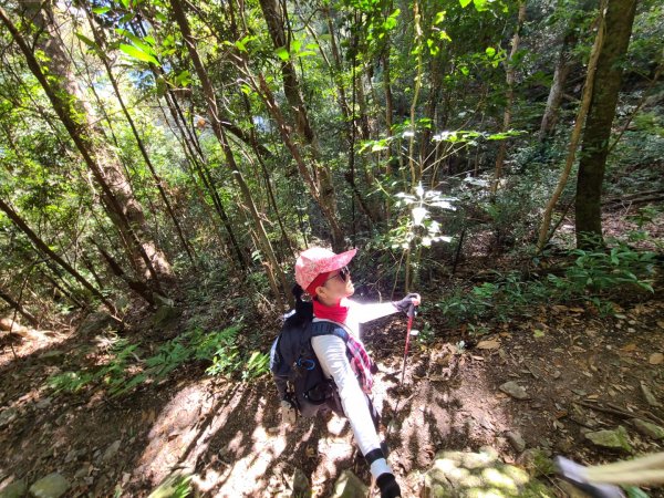 谷關七雄八仙山、加保台山1890617