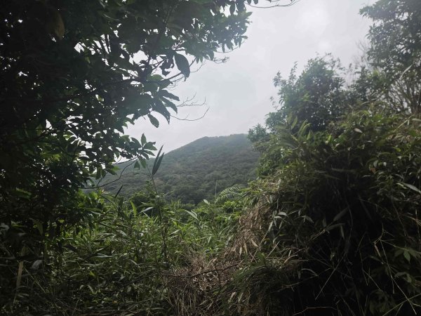 20261014土地公嶺-竹里山3138368