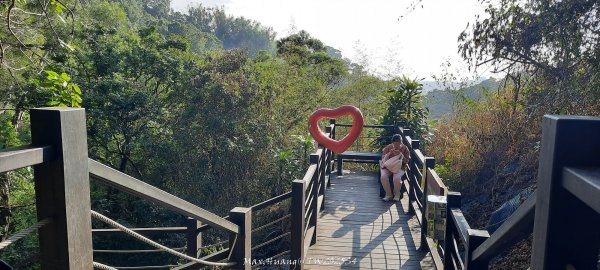 《台中》登山市集｜大坑9及9_1號步道上觀音亭202512202966542