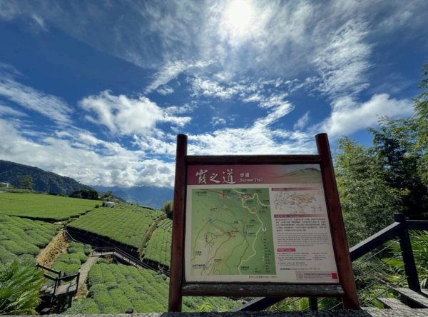 20251029石棹茶、霧、雲、霞、櫻、愛之道 樂野山 霹靂山2926611