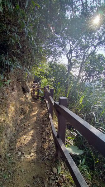 獨立山 大巃頂 阿拔泉 觀音石 紅南坑1224356