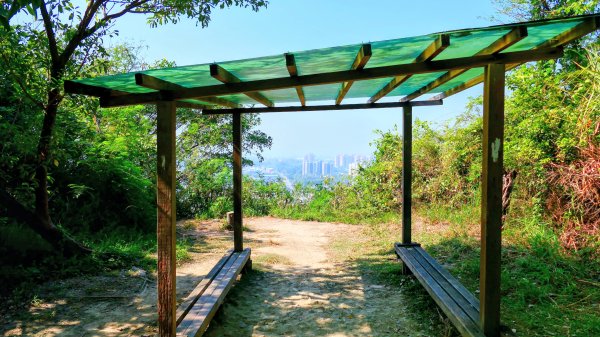 左營半屏山2954322