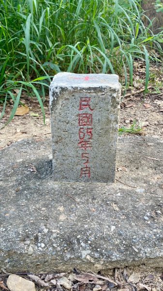 尚書林山步道(鳳凰山)2730918