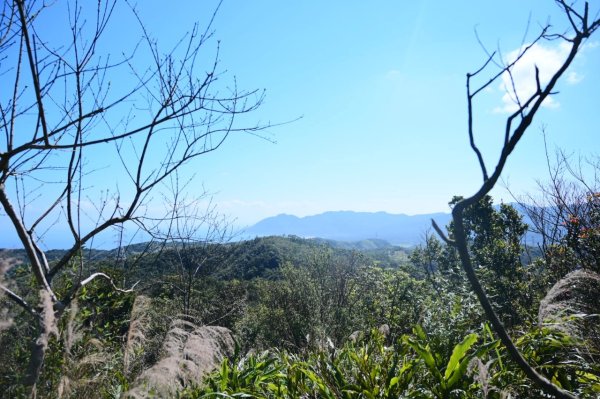 20250228西九份坑山-九份坑山-觀日峰-新厝山-火炎山-美艷山2722404