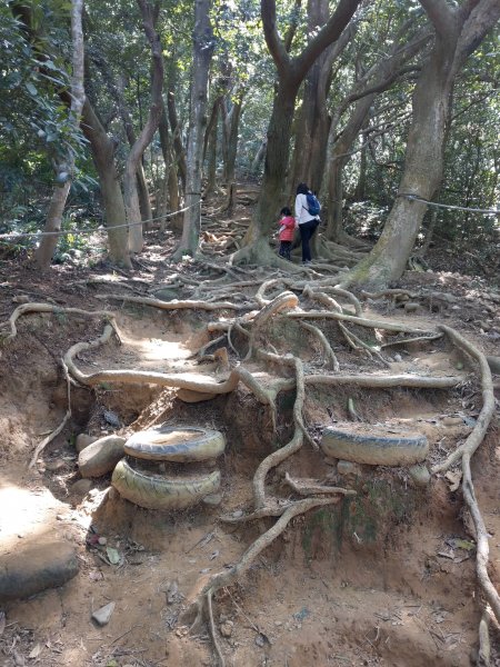 新竹飛鳳山(中坑山)小百岳880242