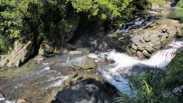 福山部落,內洞森遊區2552348