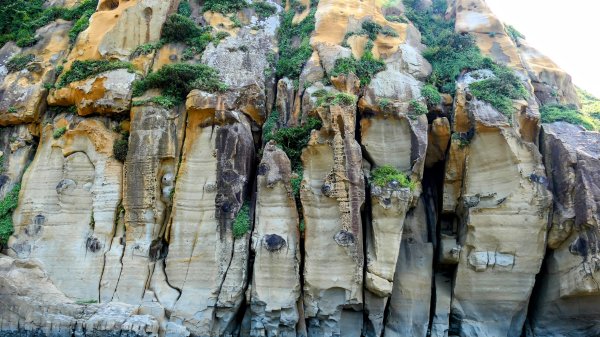 和平島(含阿拉寶灣)2821363