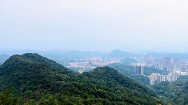 《臨江仙・碧山巖櫻花》2714229