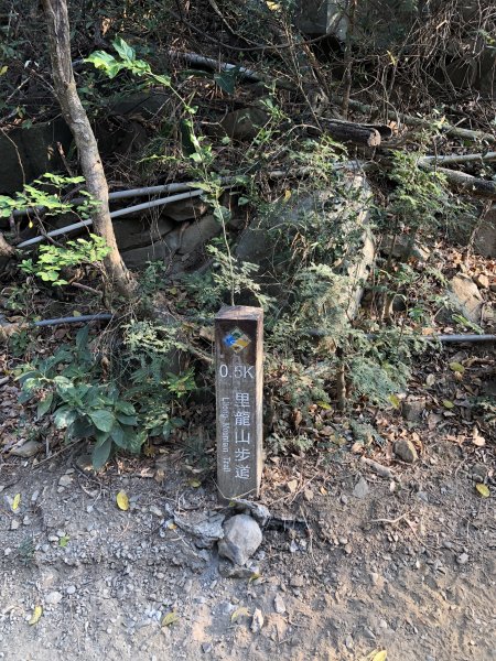 台灣小百岳No.080 里龍山908198