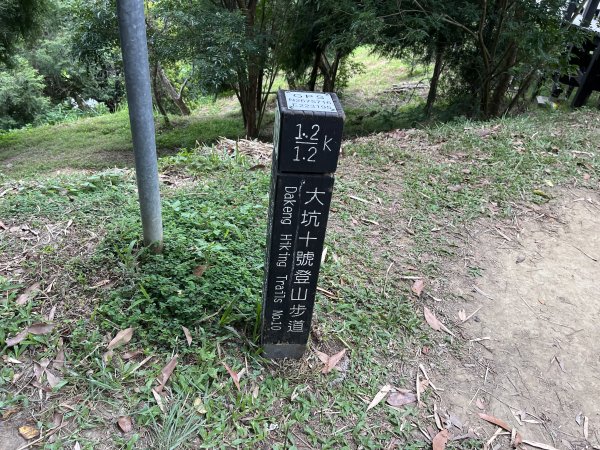 [全臺走路趣尋寶-27/100] 2024_0707_大坑9、10號步道2546592