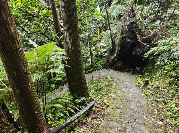 [皮皮獅動物派對-04/10] 2026_0823 騎龍古道3121553