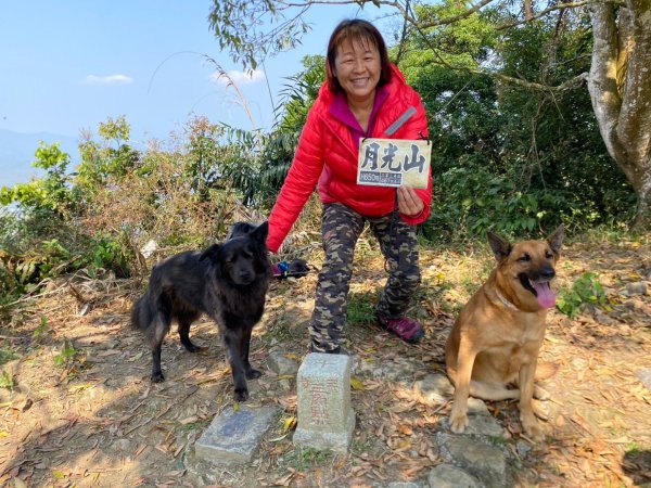 高雄美濃月光山2734954