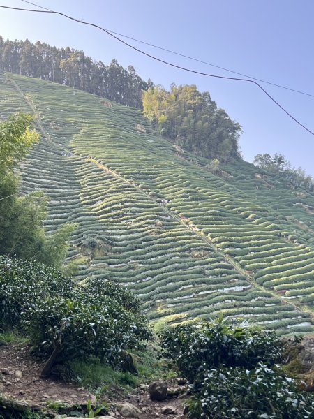 小百岳-金柑樹山2717249