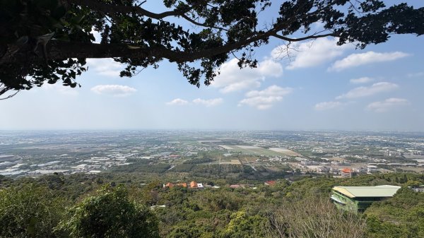 尋仙、鑽洞、啖肥雞3002827