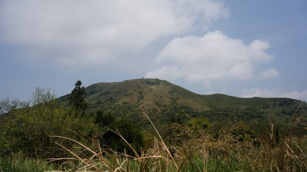 陽明山西段縱走 O形1916372