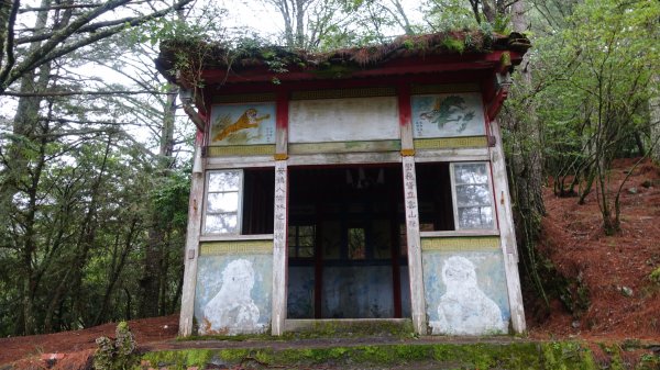 雙龍林道上巒安堂西巒大山1778634