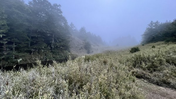 將軍廟上天鑾池上下2162825