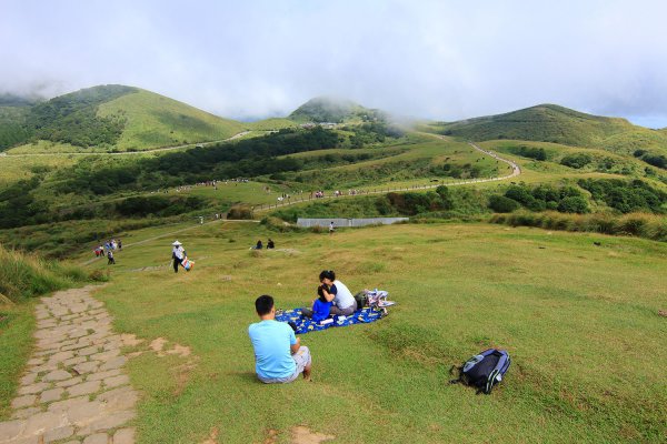 陽明山縱走東段（大崎頭至擎天崗）535921