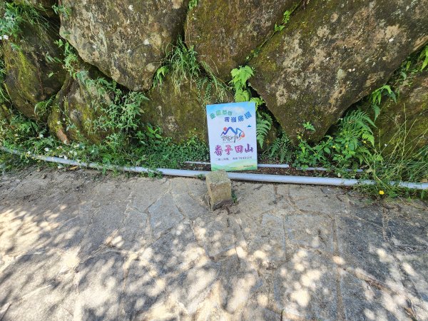 20251004雲頂之丘番子田山2927193