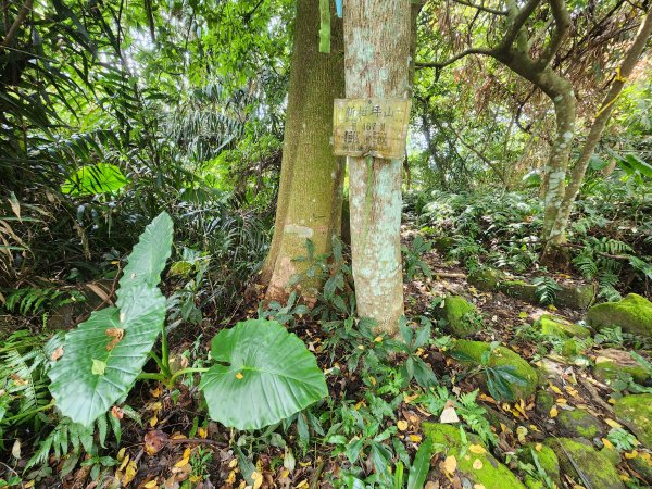 20251214石牛山柑坪山新柑坪山牛背岩2972750