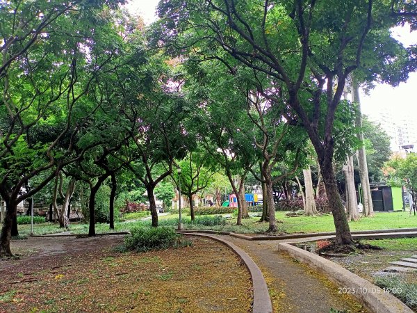 內湖大港墘公園、文德三號公園、瑞陽公園【走路趣尋寶、健康大穀東】2305233