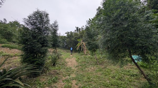 115.04.18寶山水庫+5連群峰之旅3039686