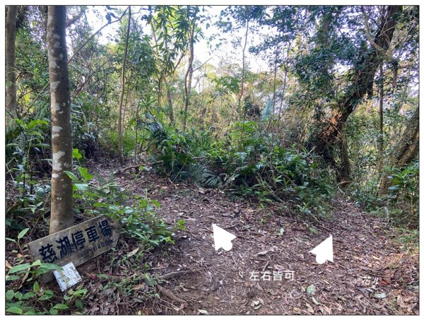 頭寮山、內湳溝山、牛角湳西南峰O型連走2738979