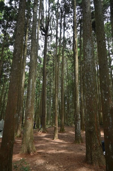 中級山-高島縱走2888382