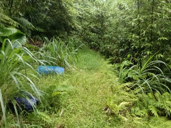平溪區平溪子山遇雷雨O型2850166
