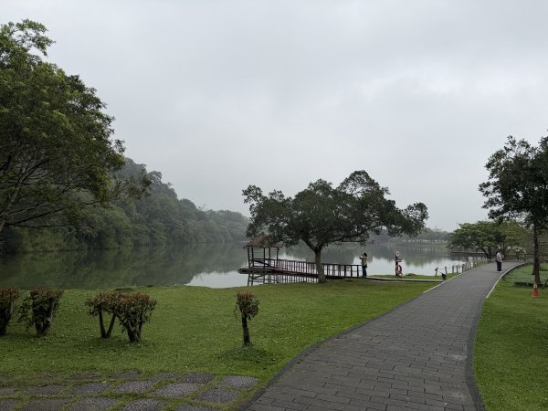 [樟之細路_第一大段RSA01] 2026_0329 三坑自然生態公園3026785